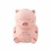Hucha cerdito rosa sonriente de Mr. Wonderful con frase motivacional.