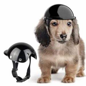 Perro con casco de motocicleta negro brillante ajustable, junto a otro casco similar.