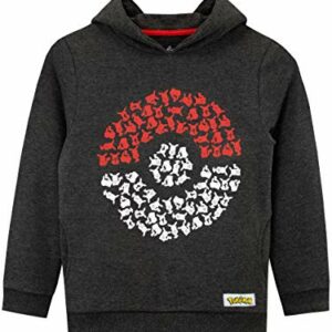 Sudadera con capucha gris oscuro de Pokémon con diseño de Pokéball para niños.