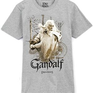 Camiseta gris con imagen de Gandalf y el texto "Gandalf" de El Señor de los Anillos.