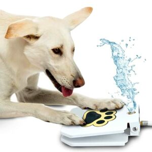 Perro jugando con fuente de agua activada por presión de pata, marca Trio Gato.