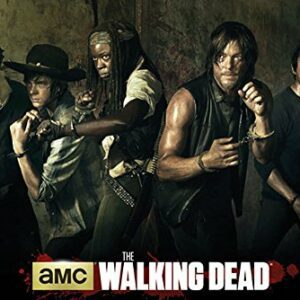 Póster de la serie "The Walking Dead" Temporada 5 con seis personajes principales en actitud defensiva.