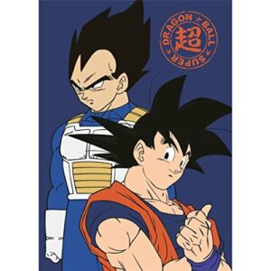 Manta polar de Dragon Ball Super con Goku y Vegeta juntos en pose heroica.